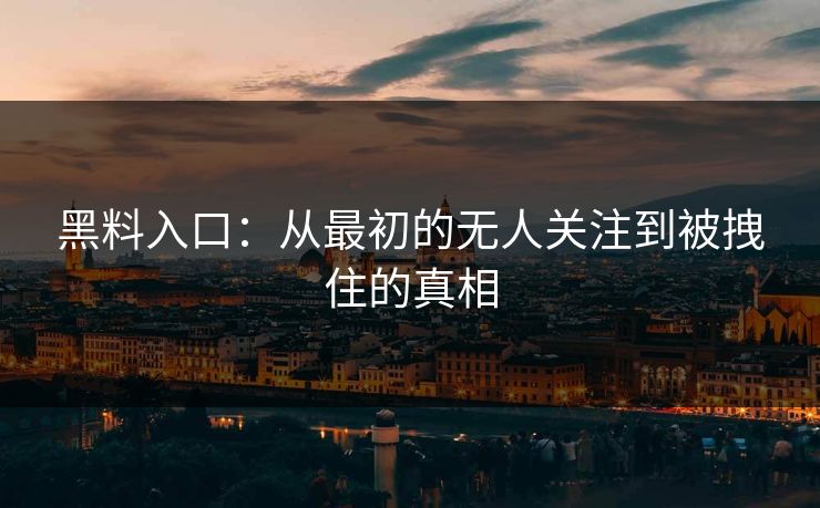 黑料入口:从最初的无人关注到被拽住的真相 第1张 黑料入口:从最初的无人关注到被拽住的真相 第1张
