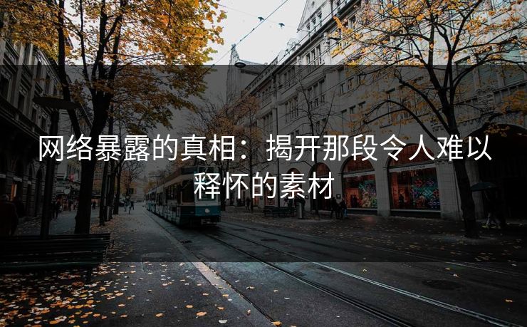网络暴露的真相：揭开那段令人难以释怀的素材