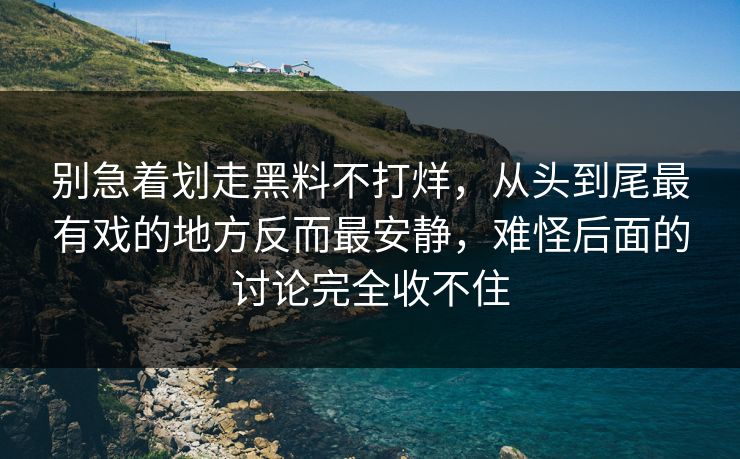 别急着划走黑料不打烊，从头到尾最有戏的地方反而最安静，难怪后面的讨论完全收不住  第1张