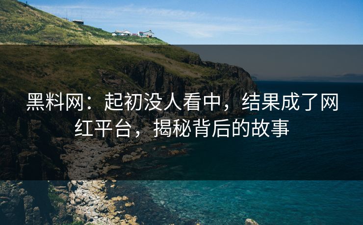 黑料网：起初没人看中，结果成了网红平台，揭秘背后的故事  第1张