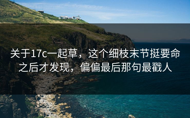关于17c一起草，这个细枝末节挺要命之后才发现，偏偏最后那句最戳人