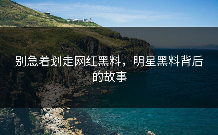 别急着划走网红黑料，明星黑料背后的故事  第1张