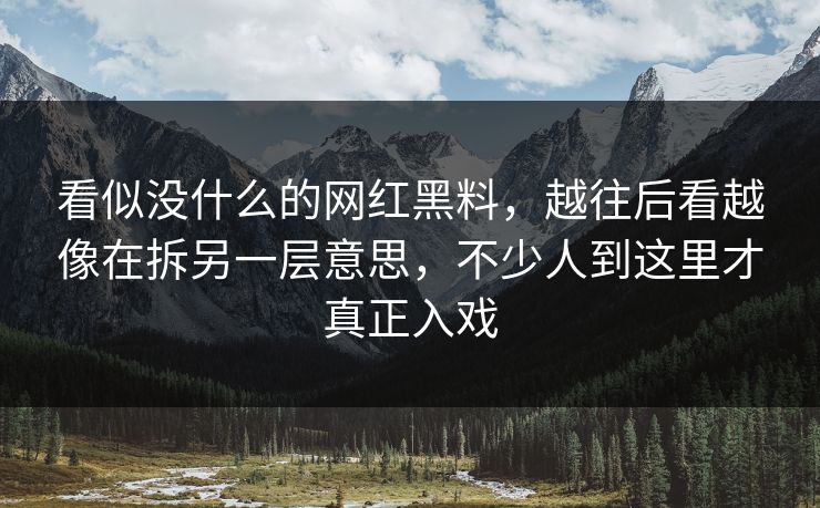 看似没什么的网红黑料,越往后看越像在拆另一层意思,不少人到这里才真正入戏 第1张 看似没什么的网红黑料,越往后看越像在拆另一层意思,不少人到这里才真正入戏 第1张