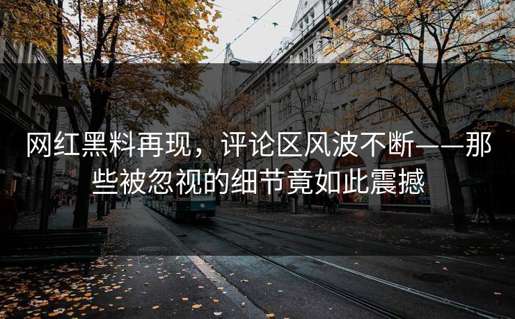网红黑料再现，评论区风波不断——那些被忽视的细节竟如此震撼