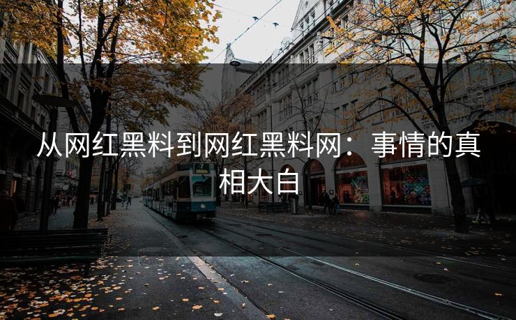 从网红黑料到网红黑料网：事情的真相大白