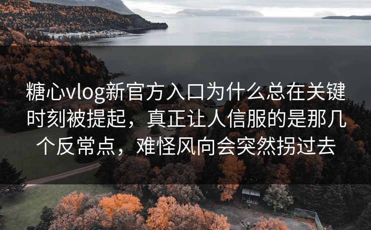 糖心vlog新官方入口为什么总在关键时刻被提起，真正让人信服的是那几个反常点，难怪风向会突然拐过去